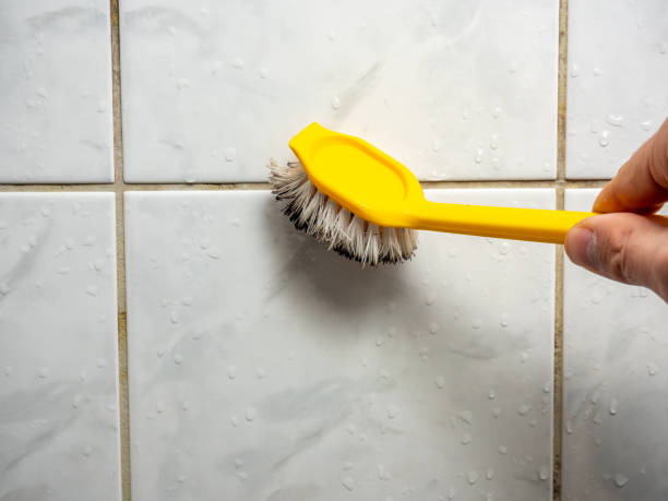 Best Mold Testing  in Lexington, OK