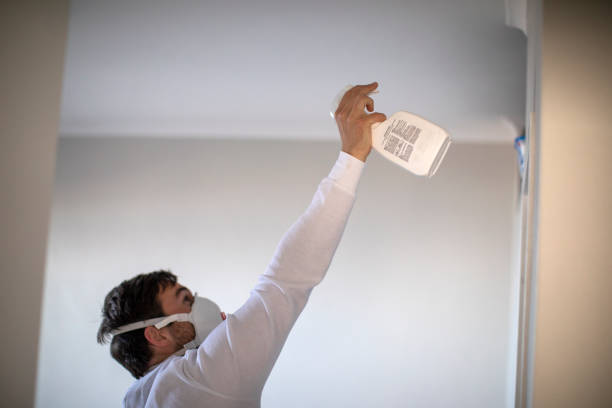Best Affordable Mold Removal  in Lexington, OK