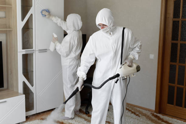Professional Mold Removal in Lexington, OK