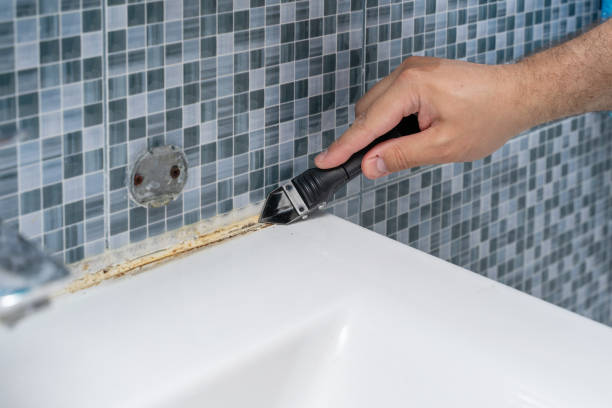 Best Emergency Mold Removal  in Lexington, OK