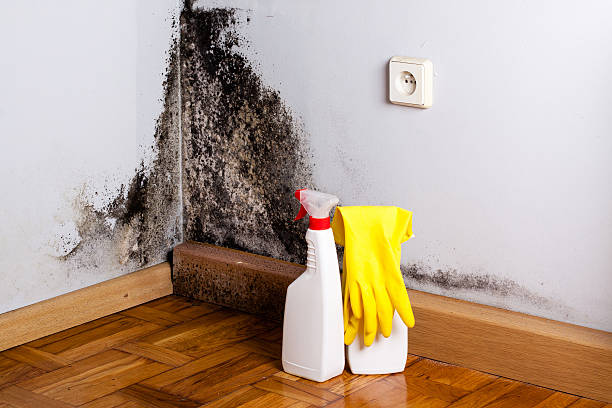 Best Water Damage Restoration  in Lexington, OK