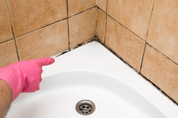 Best Home Mold Removal  in Lexington, OK